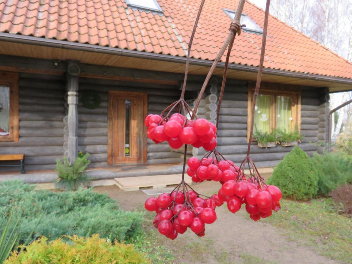 Guest House Leveri Valgalciems Exterior photo